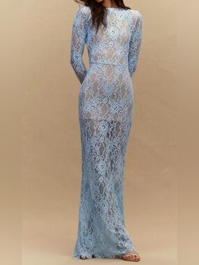 Bronx and Banco Long-Sleeve Fitted Lace Gown.